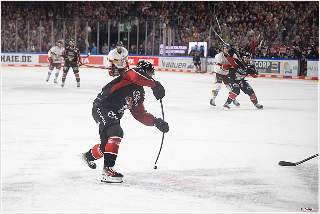 PENNY DEL 1; Kölner Haie - Düsseldorfer EG ; Köln, 16.02.2025